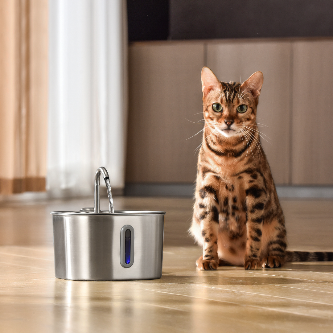 2.2L Fountain 2–month Kit